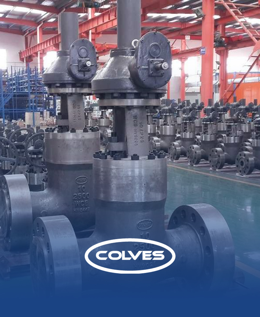 Industrial Valves & Actuations - FAS SERVICES